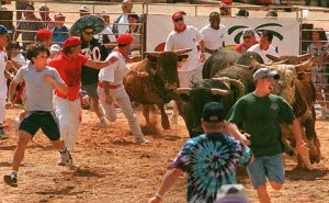 the herd panics and loses money