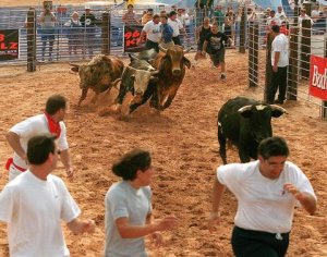 the market is an arena with no structure